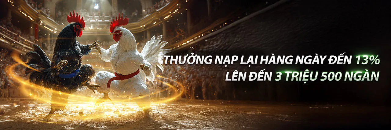 Đá Gà Trực Tuyến Hấp Dẫn tại halo88